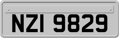 NZI9829