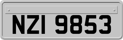NZI9853