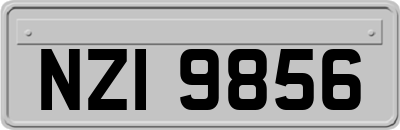 NZI9856