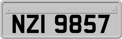 NZI9857