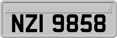 NZI9858