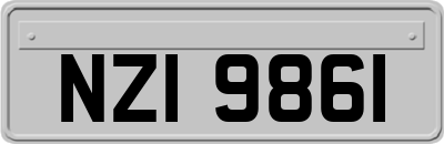 NZI9861