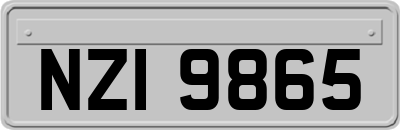 NZI9865