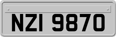 NZI9870