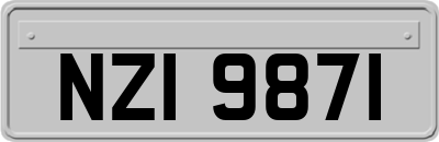 NZI9871