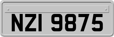 NZI9875