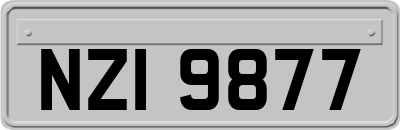 NZI9877