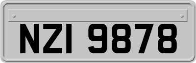 NZI9878