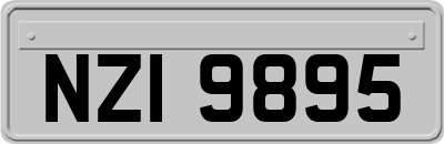 NZI9895