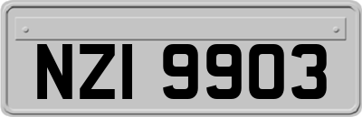 NZI9903