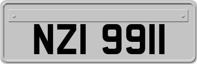 NZI9911