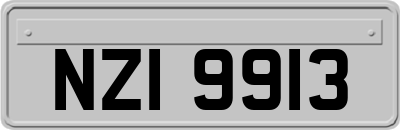 NZI9913