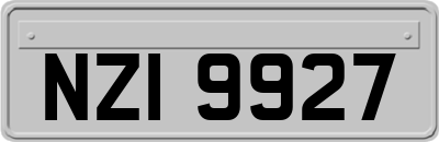 NZI9927