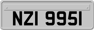 NZI9951