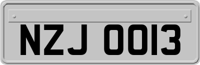 NZJ0013