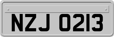 NZJ0213