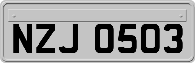 NZJ0503