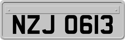 NZJ0613