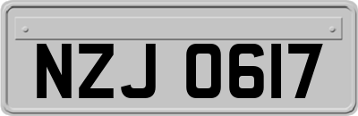 NZJ0617