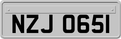 NZJ0651
