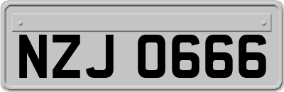 NZJ0666