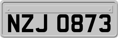 NZJ0873