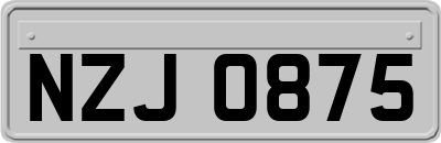 NZJ0875