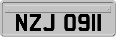 NZJ0911