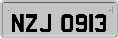 NZJ0913