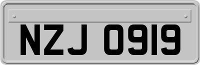NZJ0919