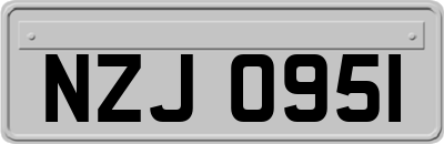 NZJ0951