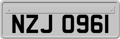 NZJ0961