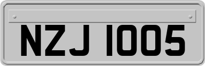 NZJ1005