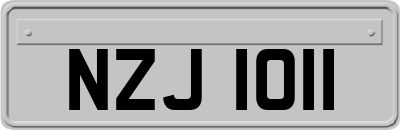 NZJ1011