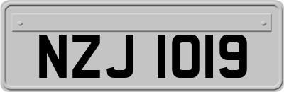 NZJ1019