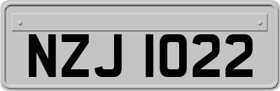 NZJ1022