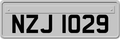 NZJ1029