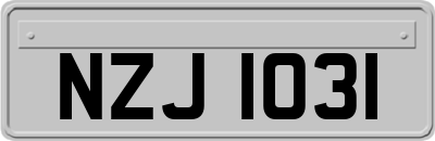 NZJ1031