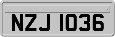NZJ1036