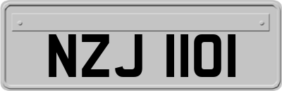 NZJ1101