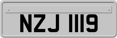 NZJ1119