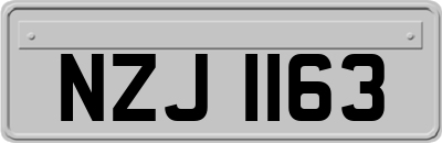 NZJ1163