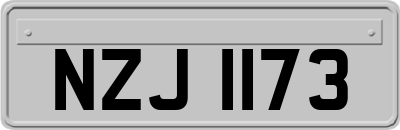 NZJ1173
