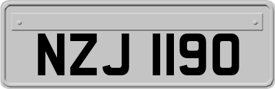 NZJ1190