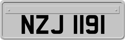 NZJ1191