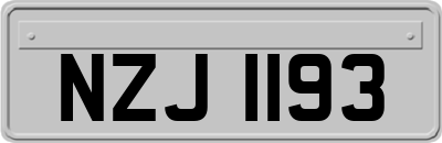 NZJ1193