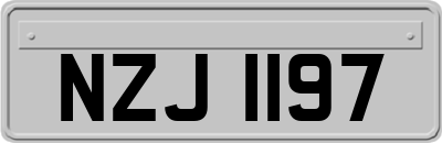 NZJ1197