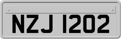NZJ1202