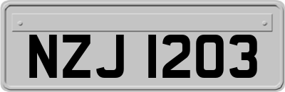 NZJ1203