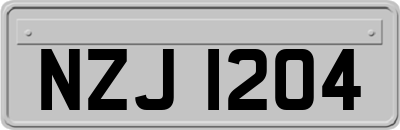 NZJ1204